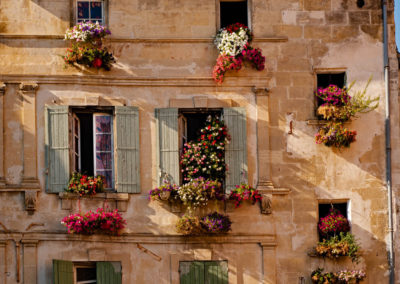 flowering windows